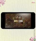 W1261 Royal Punjabi Historic Video Invite - Image 7